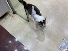 -玉椰林甜品店(创始店)