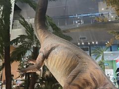 -湖南省地质博物馆