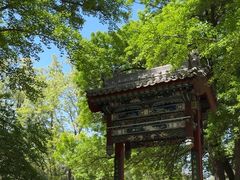 -迎泽公园