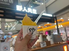 -野人先生Gelato(上海长宁龙之梦店)