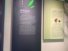 -中国茶叶博物馆(双峰馆区)