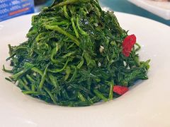 清香枸杞苗-国强手抓(北京西路店)