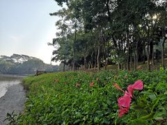 -深圳国际园林花卉博览园