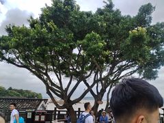 -朱家尖蜈蚣峙码头