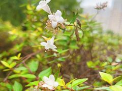 -白塘生态植物园