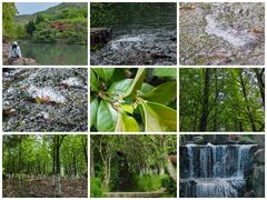 -白马涧龙池景区