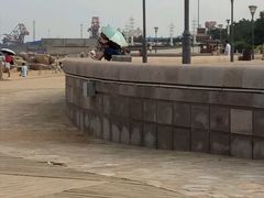 -日照灯塔风景区