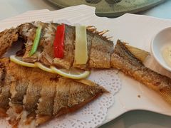 -骏莱海鲜鱼港(五角场店)