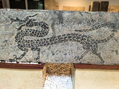 -徐州汉画像石艺术馆