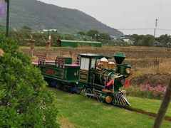 -苏州太湖西山岛开心农场