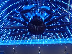 -蟹之国·精品蟹料理(极地店)