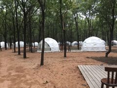 -东海森林温泉度假酒店