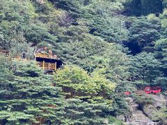 -长谷洞天