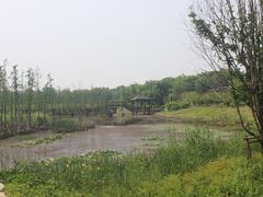 -同里国家湿地公园