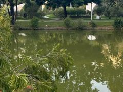 -人民公园(罗湖区)