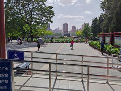 -莲花池公园