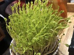 -好彩猪肚鸡(正弘城店)