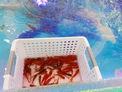 -孩子王童乐园(天津远洋乐堤港店)