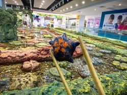 -钓虾工场·钓虾·赶海(回龙观店)