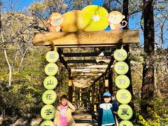 -大岭沟猕猴桃谷风景区
