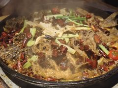 -老板恋上鱼(恒隆广场店)