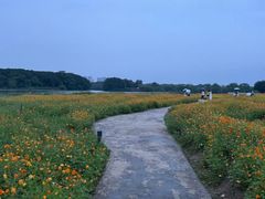 -海珠湖公园