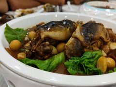 炖甲鱼-老街饭庄·地道淮扬菜(扬子江北路总店)
