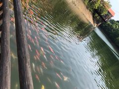 -庐山西海主景区