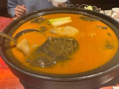 红煨甲鱼汤-潇湘甲鱼村(清河店)