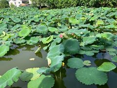 -丝绸小镇荻港古村