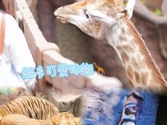 -长鹿旅游休博园