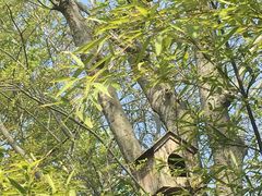 -武汉紫薇都市田园