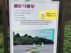 -保利石象湖景区