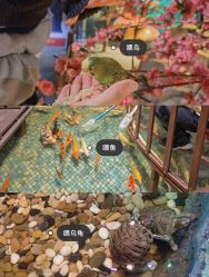 -酷嗒动物文化乐园(cutezoo西溪乐天城店)