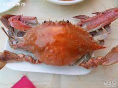 SDC10426-海岛渔村大酒店(云霄路店)