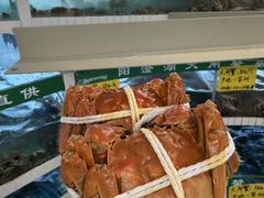 -品鲜村农家菜·阳澄湖大闸蟹(总店)