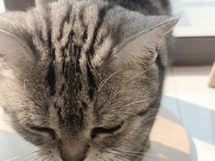 -派联宠物医院·24h·CT·异宠