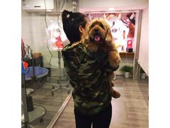 -PETKIT小佩宠物(古北店)