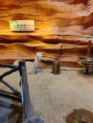 -酷嗒动物文化乐园(cutezoo西溪乐天城店)