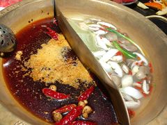 双拼锅底-渝利重庆火锅