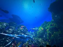 -海合安武汉极地海洋公园