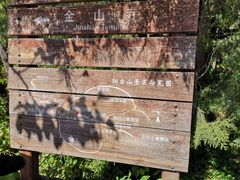 -阳台山自然风景区