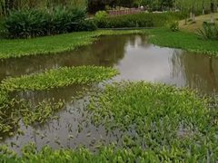 -沐仙湖湿地公园