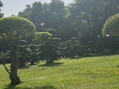 -南宁南湖公园