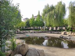 -唐城墙遗址公园