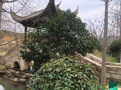 -黄陂区野村谷景区