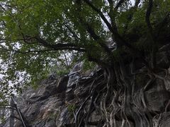 -桂林七星景区