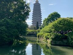 -红梅公园