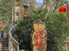 -巴倒烫陆派重庆火锅(南山店)