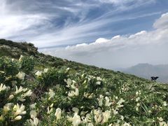 -灵山